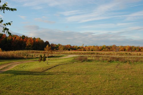 Frontyard-102008_04.jpg