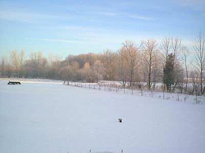 Frost2_2002.JPG