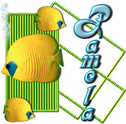 BoxedTag-Pamela2.jpg