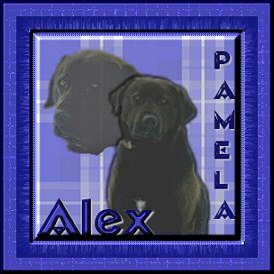 Alex-Pamela.jpg