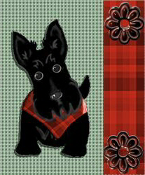 scottielred.jpg