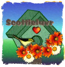Birdhouse.jpg