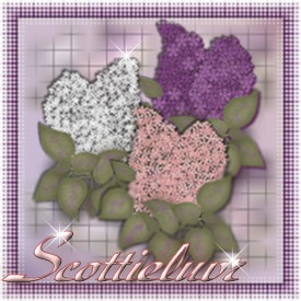 Lilacs_Scottieluvr.jpg