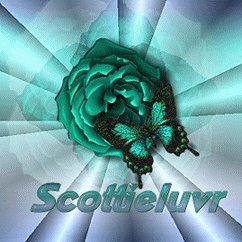 Rose-Butterfly-Scottieluvr.gif