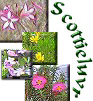 Scottieluvr-Flowers-Eagle.jpg